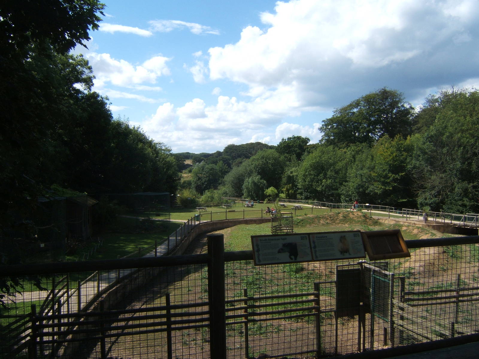 View from the top of the Tapir house