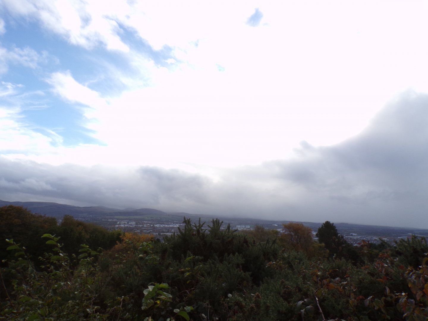 View from the top of the zoo 17.10.24