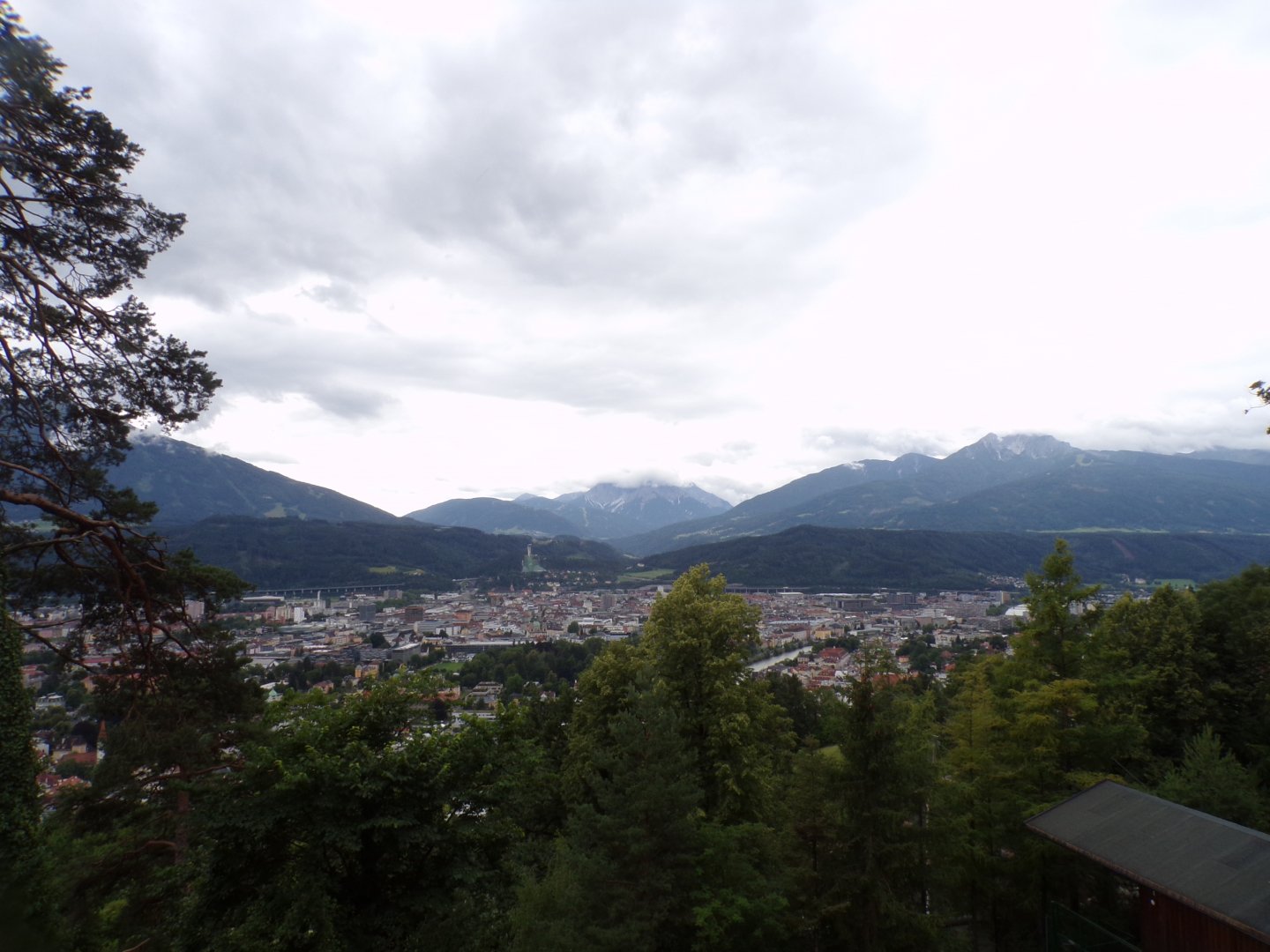 View from the top of the zoo 9.7.25