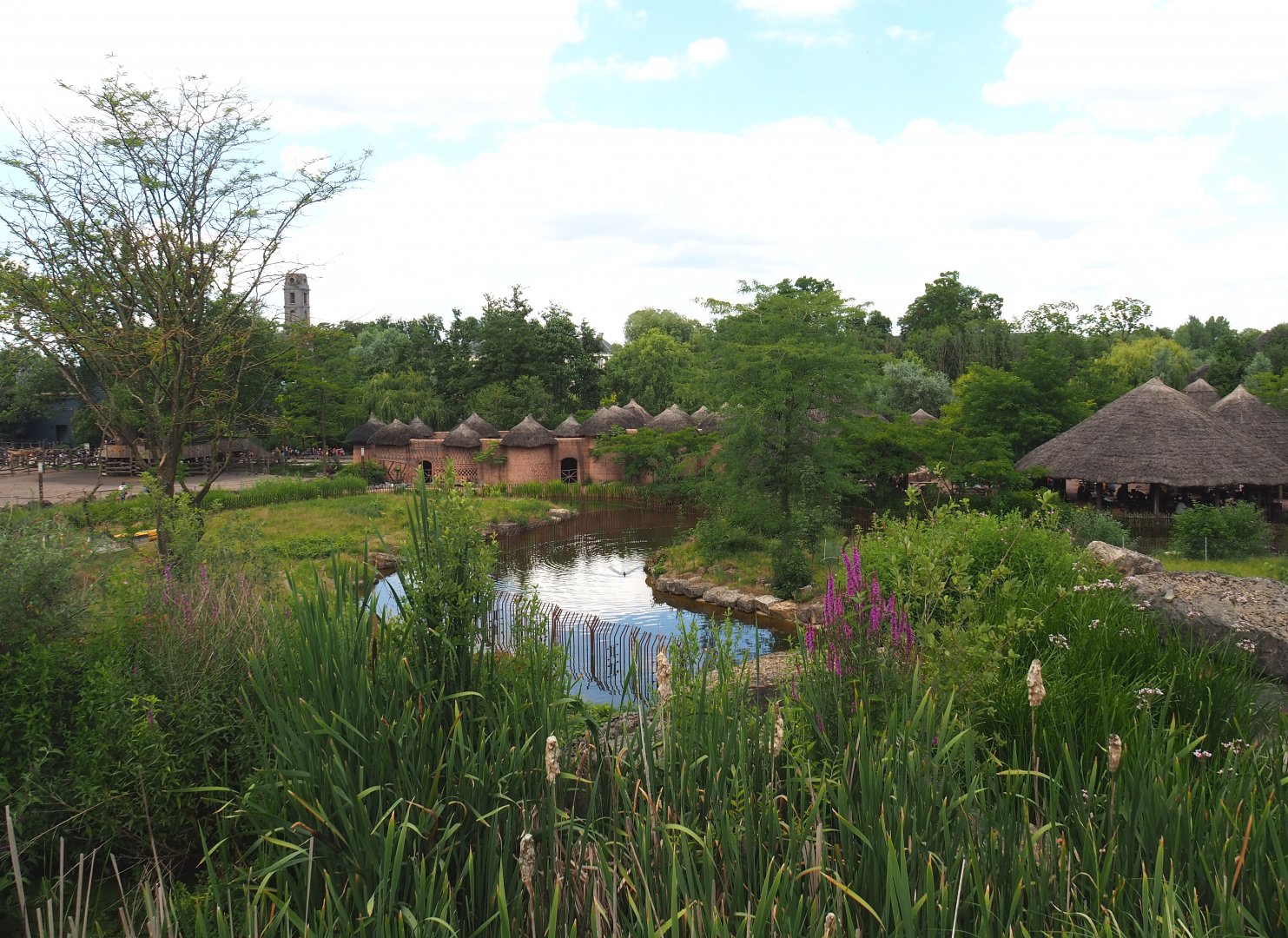 View from the upper level of The Land of Origins, 2022-06-28