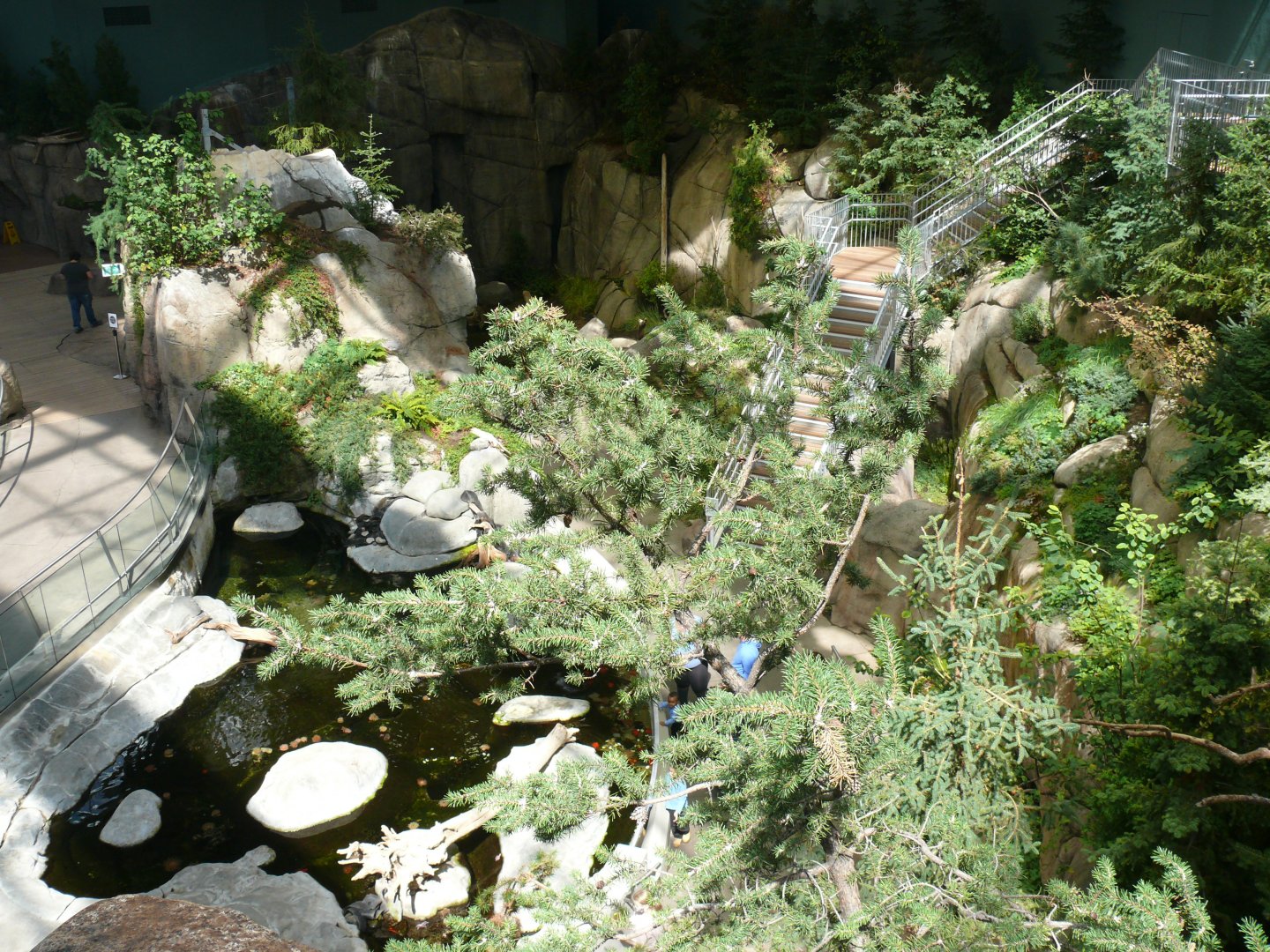 View from the upper level of the stairs 1 - reopening 31-08-2020