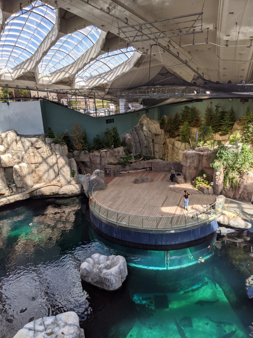 View from the upper level of the stairs 2 - reopening 31-08-2020