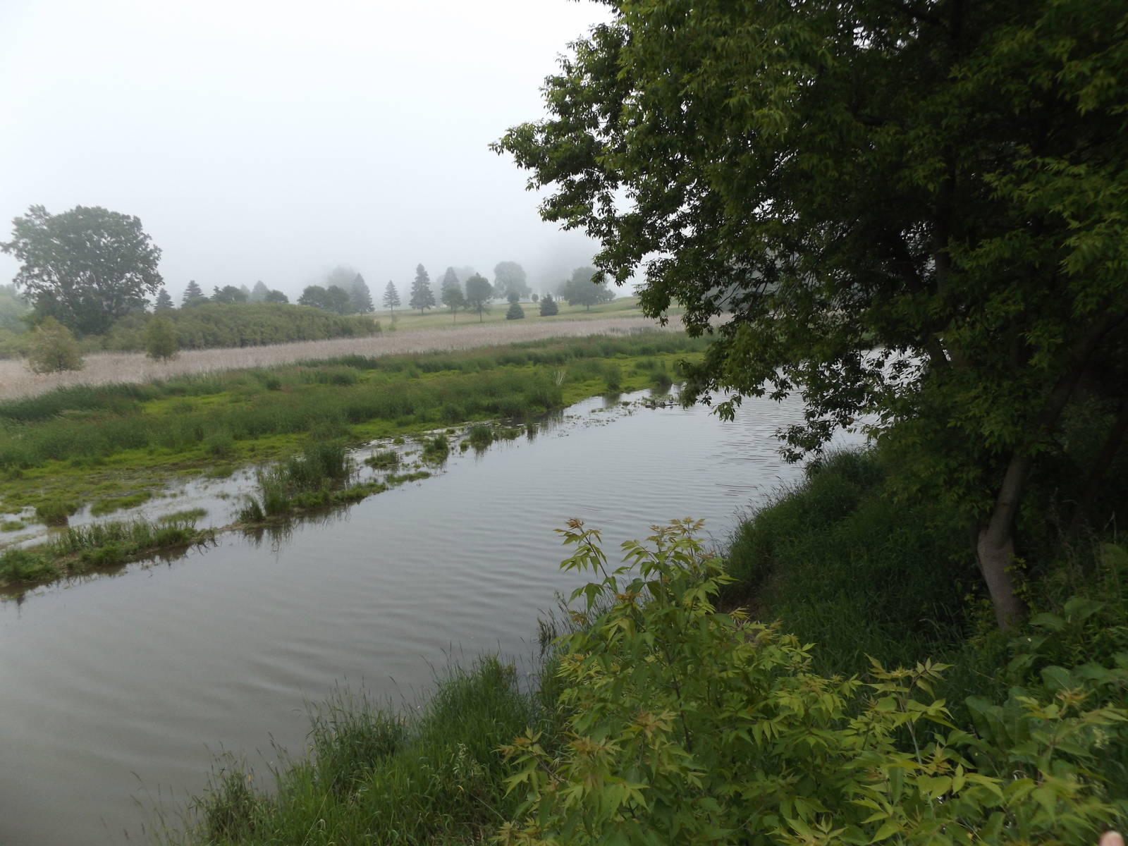 View from the Wildlife Observation Platform