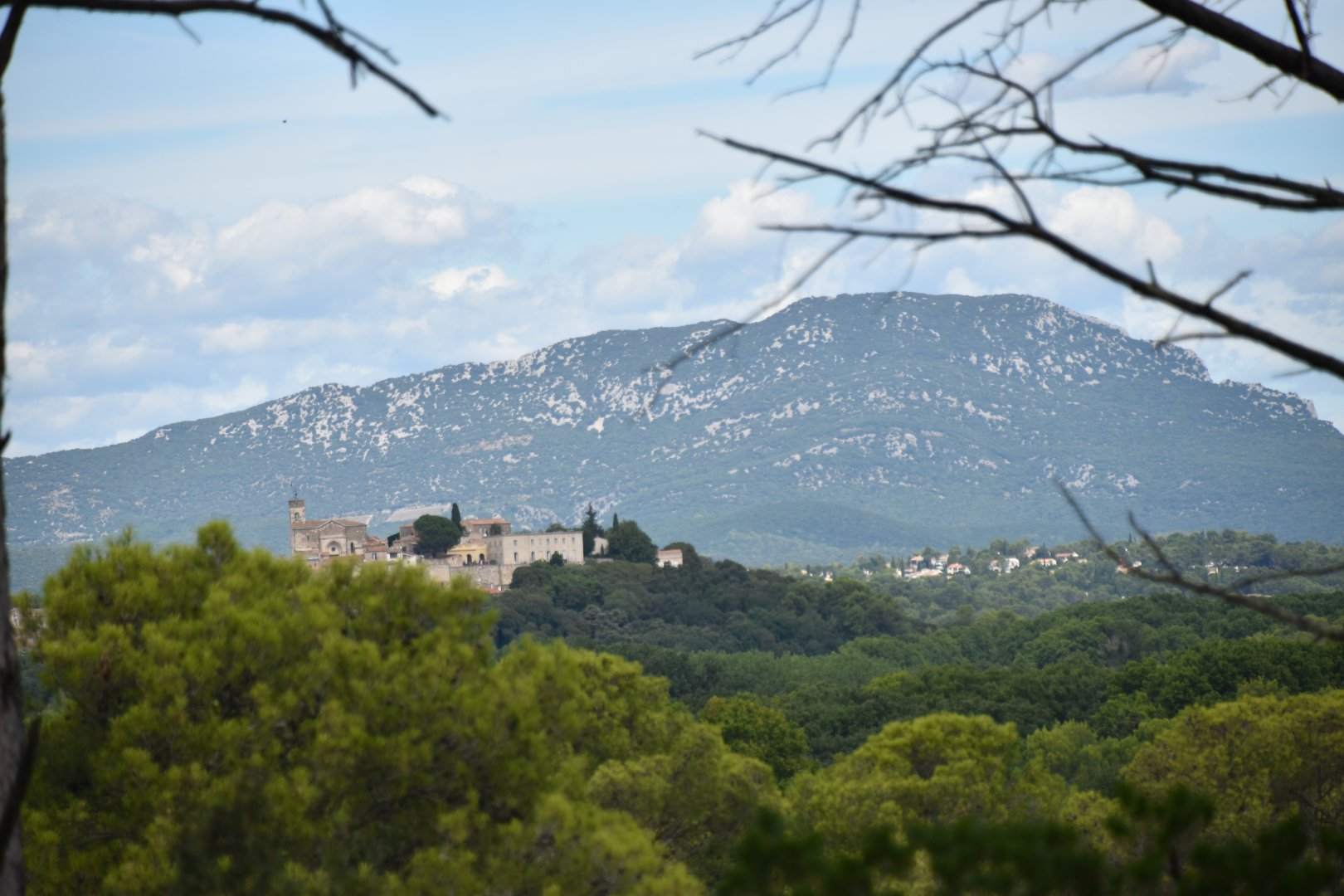 View from the Zoo: Montelimar with the Pic Saint-Loup behind