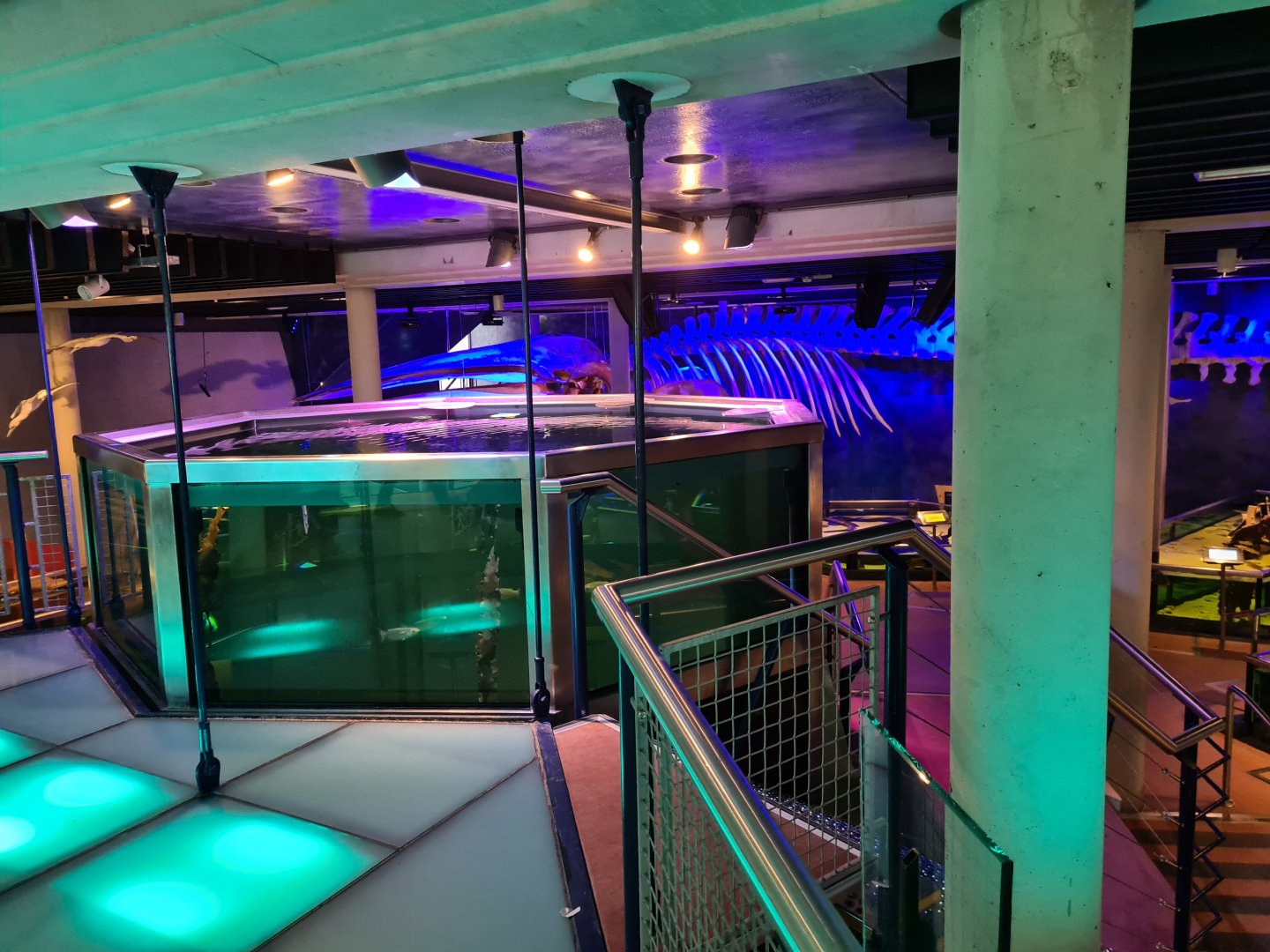 View from top floor of Sea aquarium