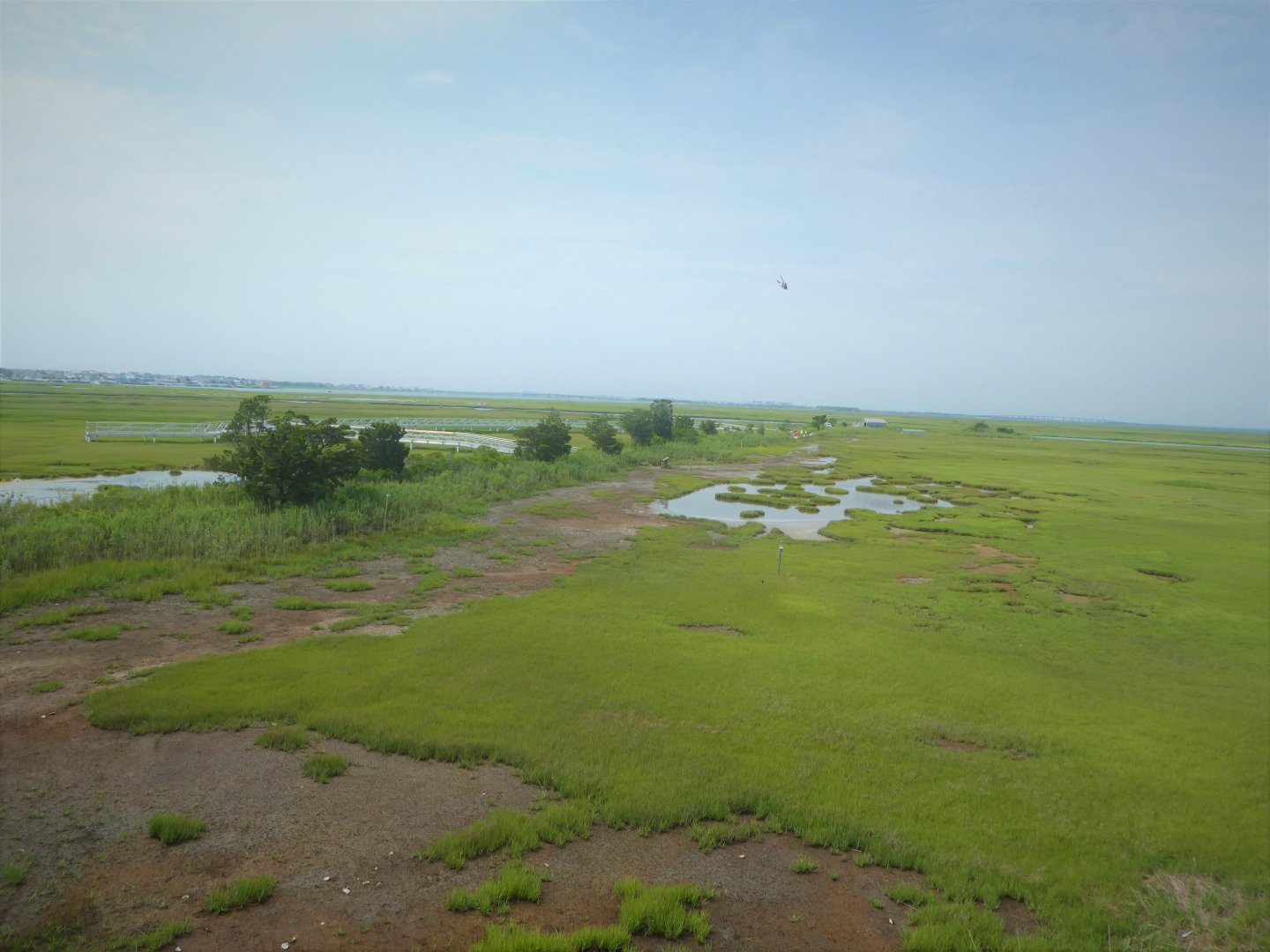 View from Top of Observation Tower