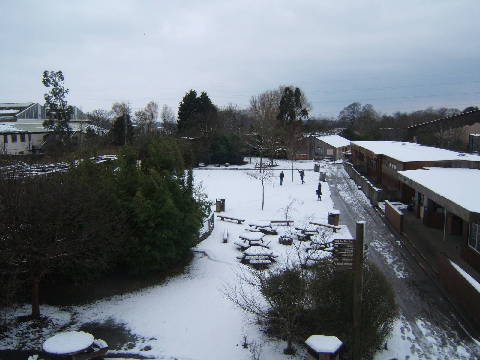 View from top of Realm of the Red Ape ramp