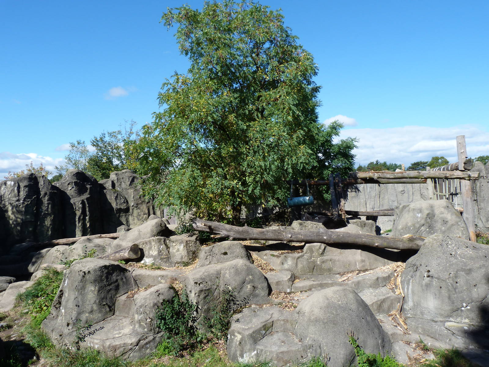 View from top of Spectacled Bear Exhibit
