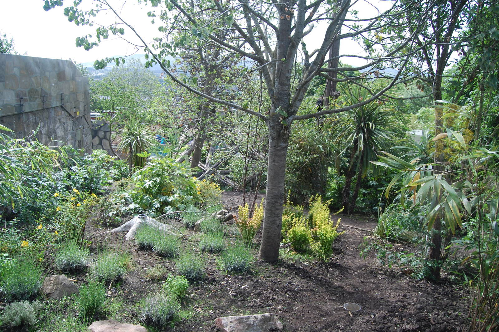 View from Top Viewing Area Shelter