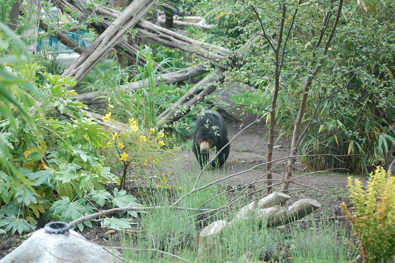 View from Top Viewing Shelter