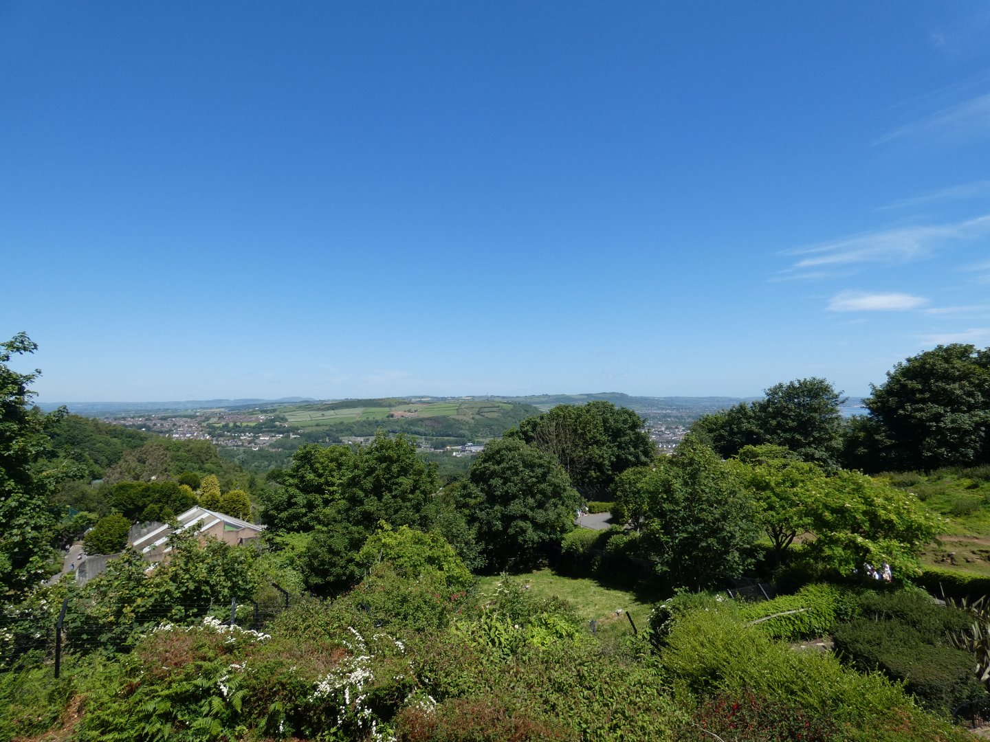 View from Treetop cafe