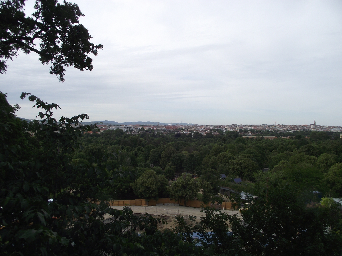 View from Treetop Walk