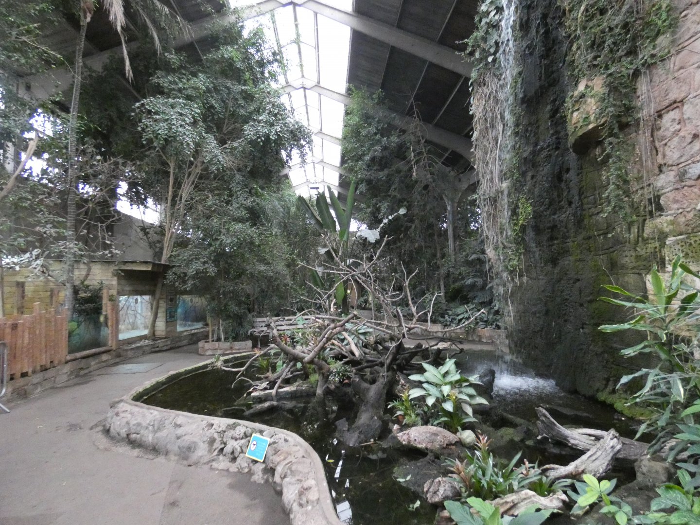 View from Tropical realm entrance