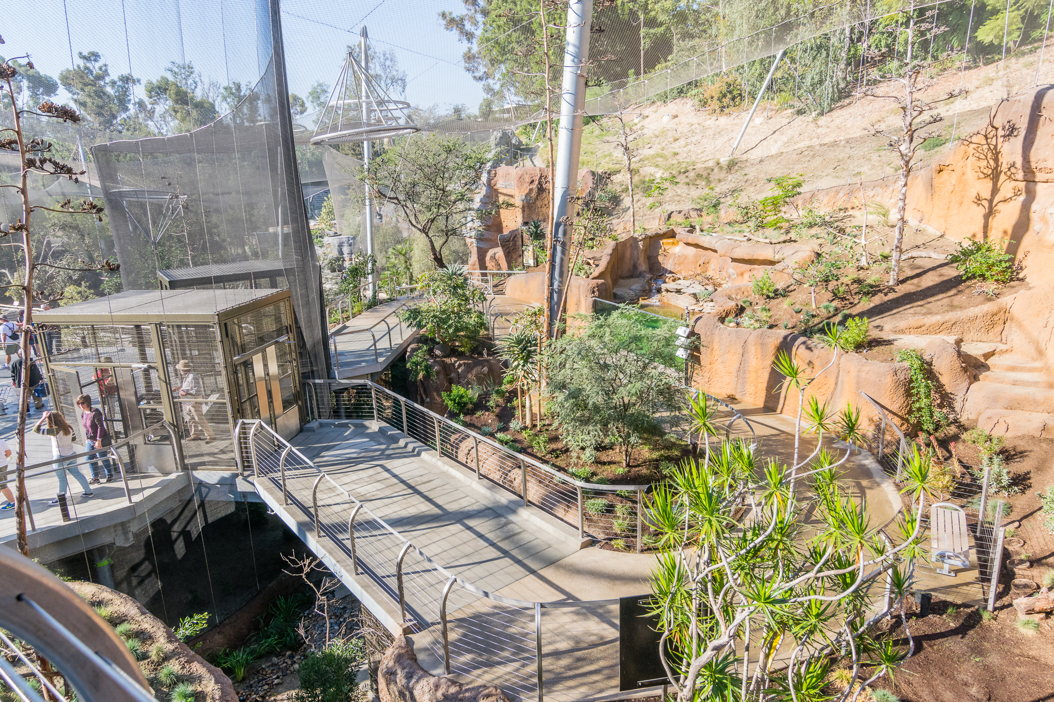 View from upper aviary.