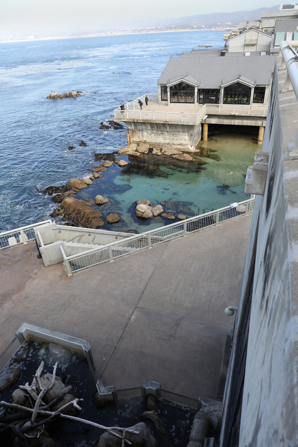 view from upper deck