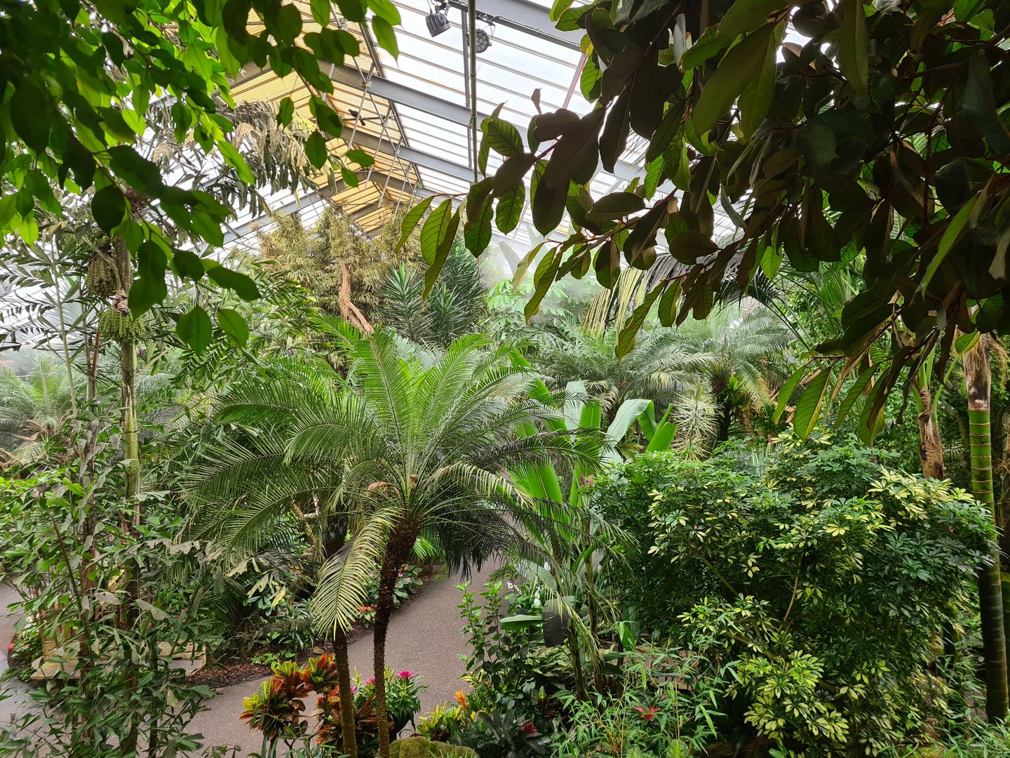 View from watchtower in "Amazon" hall