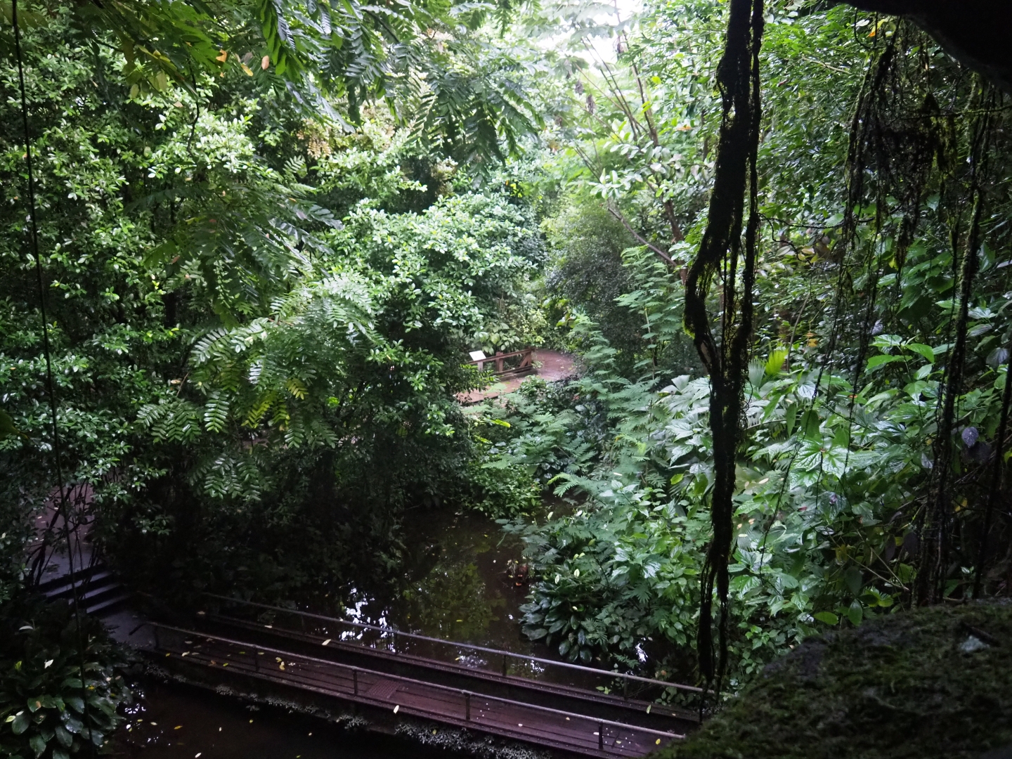 View from waterfall passage minus big waterfall (Sep 16th, 2018)