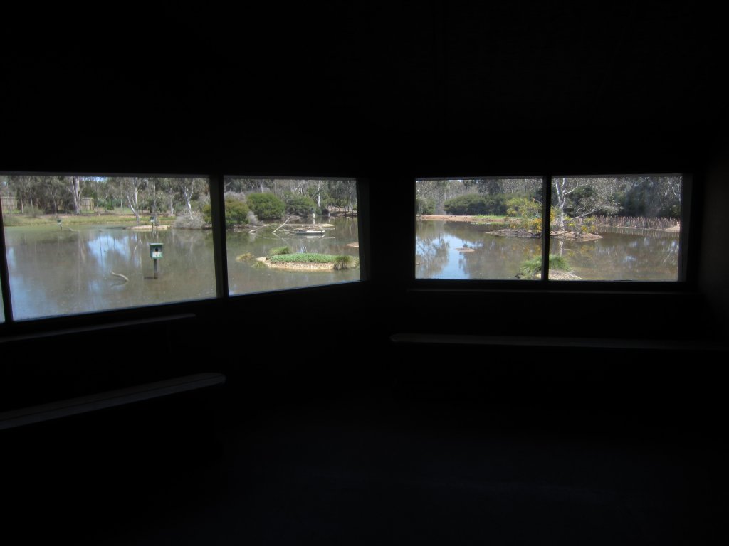 View from within hide