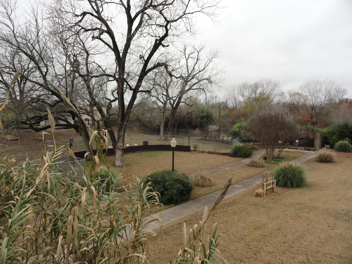 View from Zoo Entrance Building toward Alpaca & Greater Rhea Exhibit
