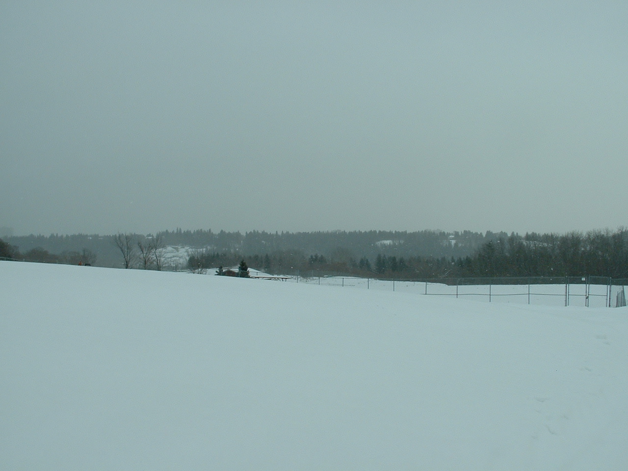 View From Zoo - Nov 2012