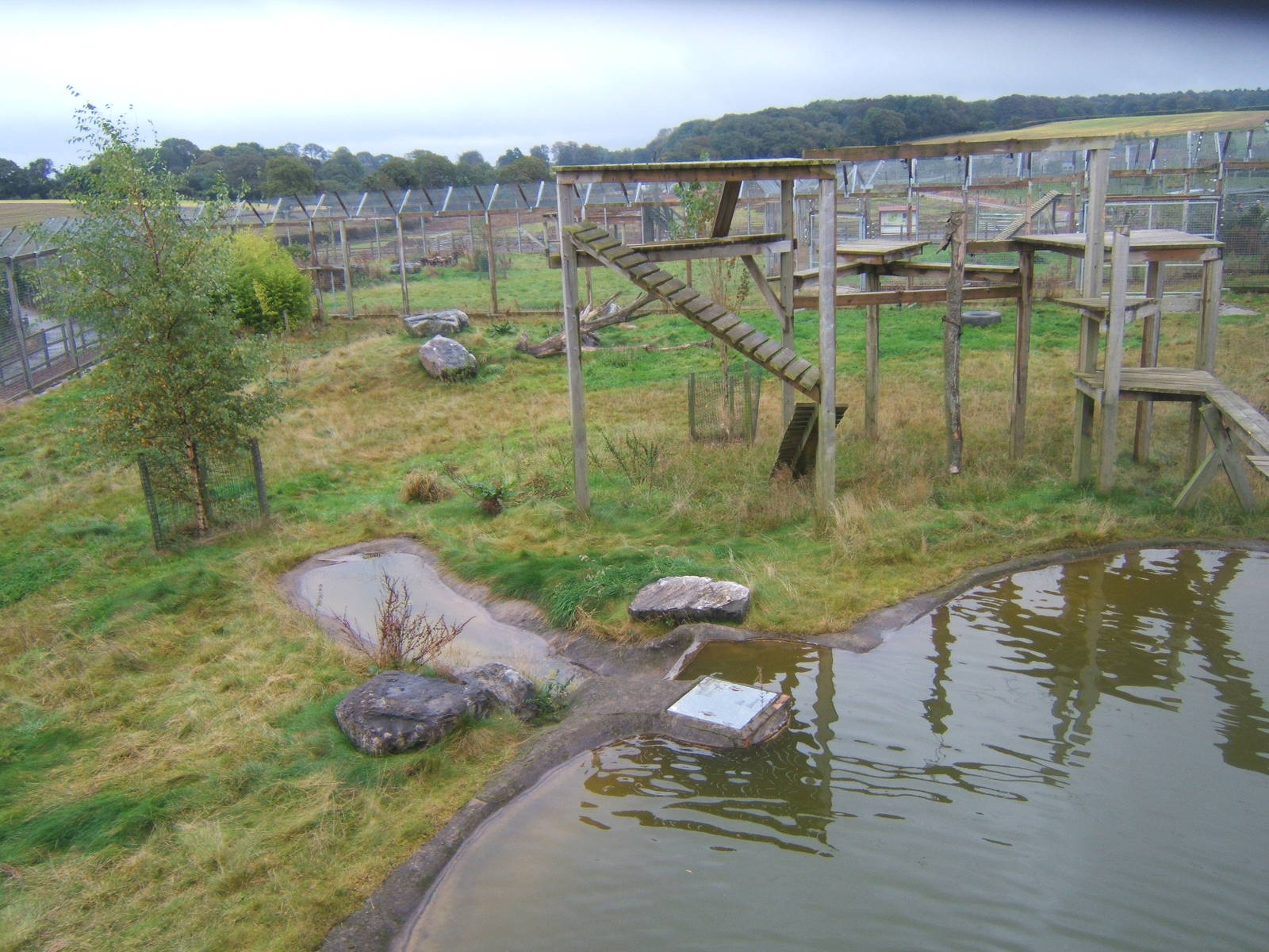 View fron the viewing platform for the Big Cats
