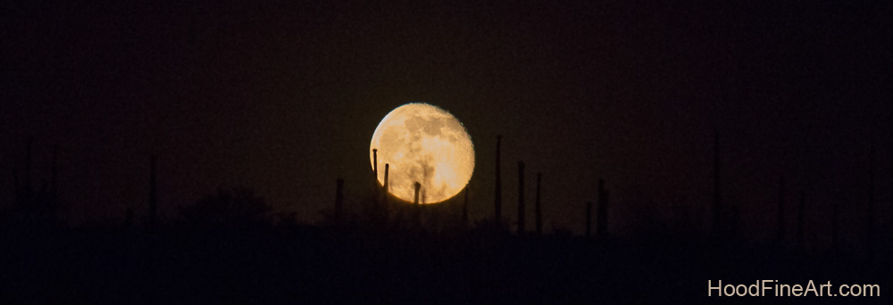 View going home from zoo