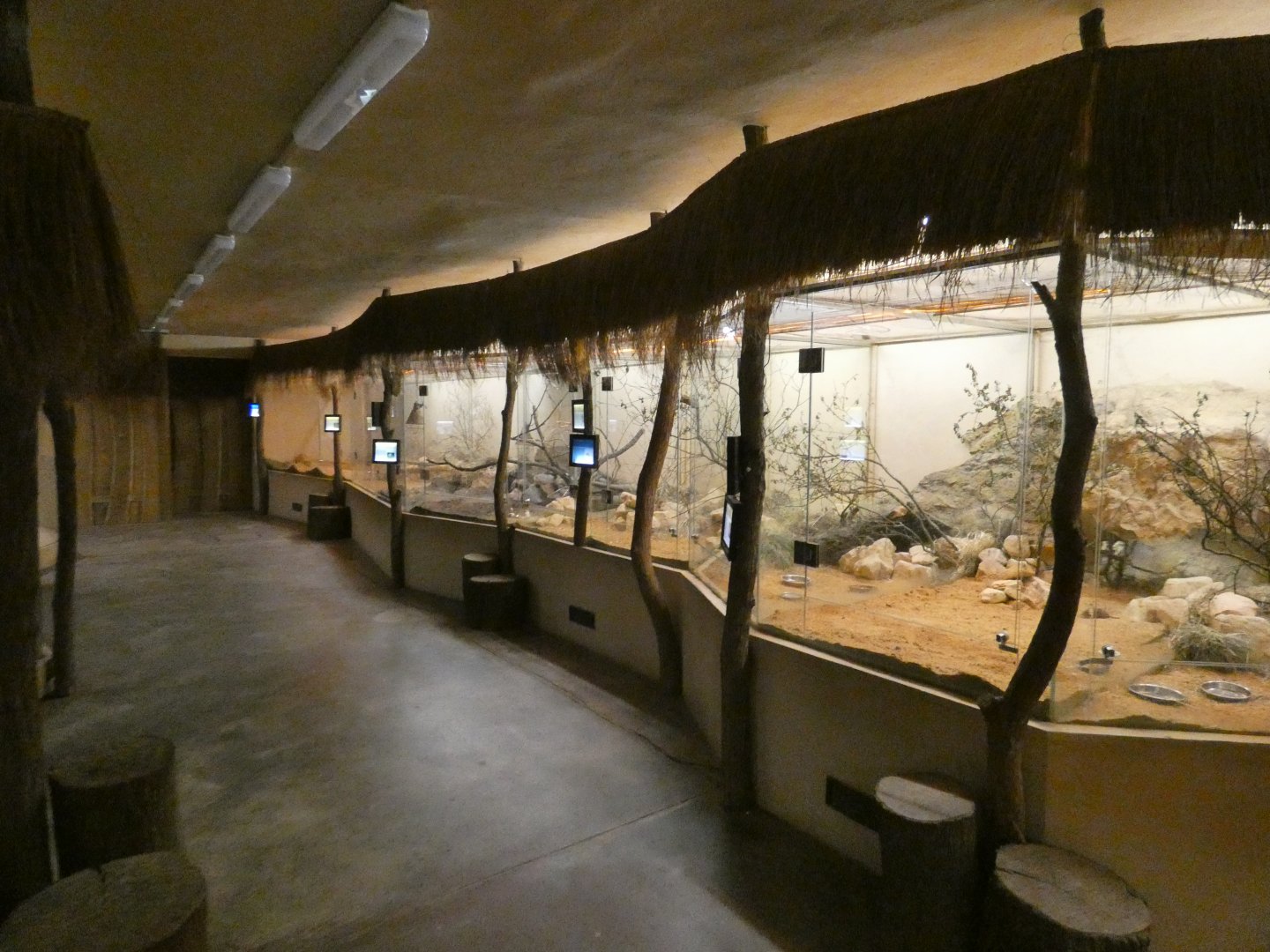 View in Africa night house