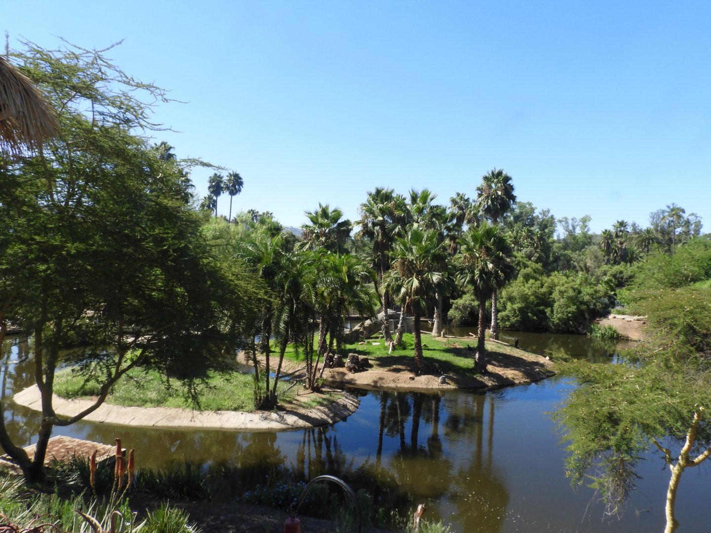 View in Africa Outpost