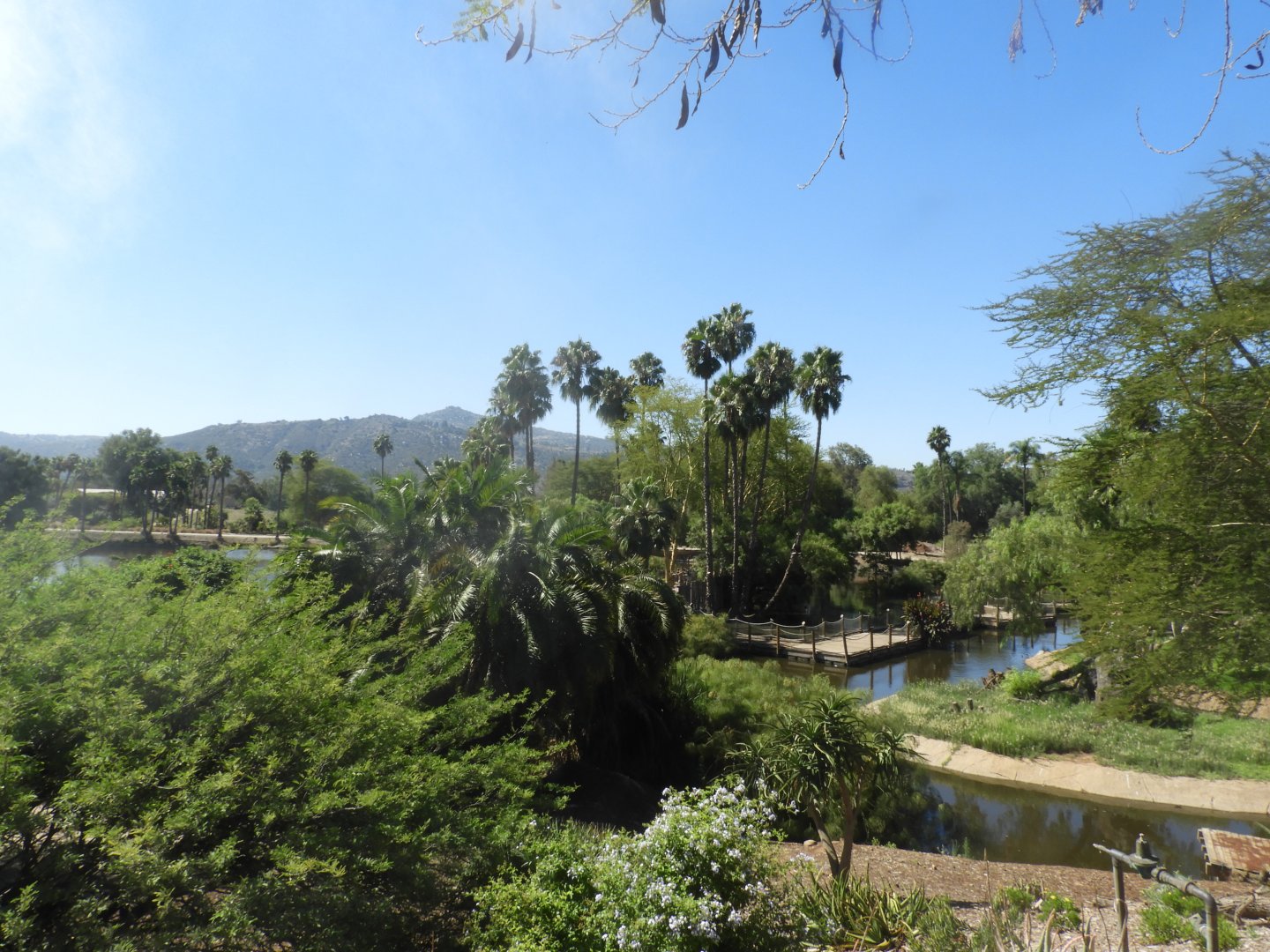 View in Africa outpost