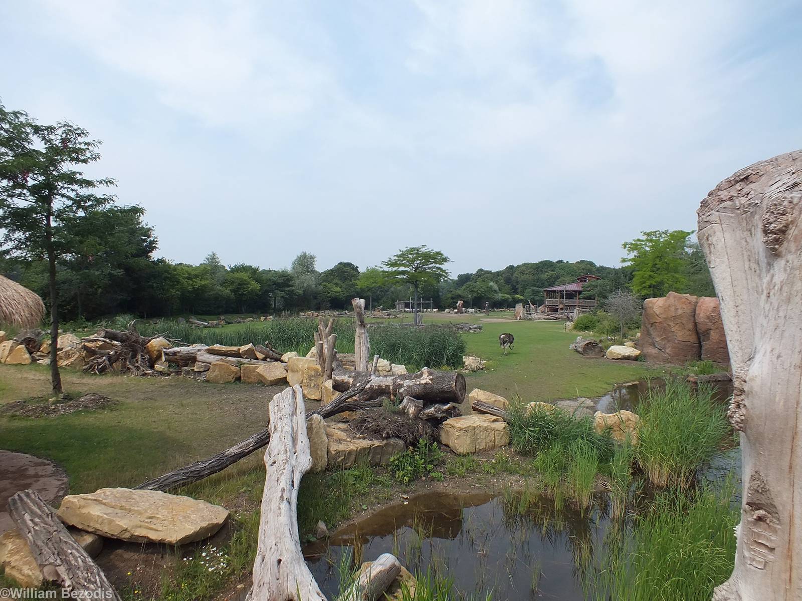 View in Africa Section