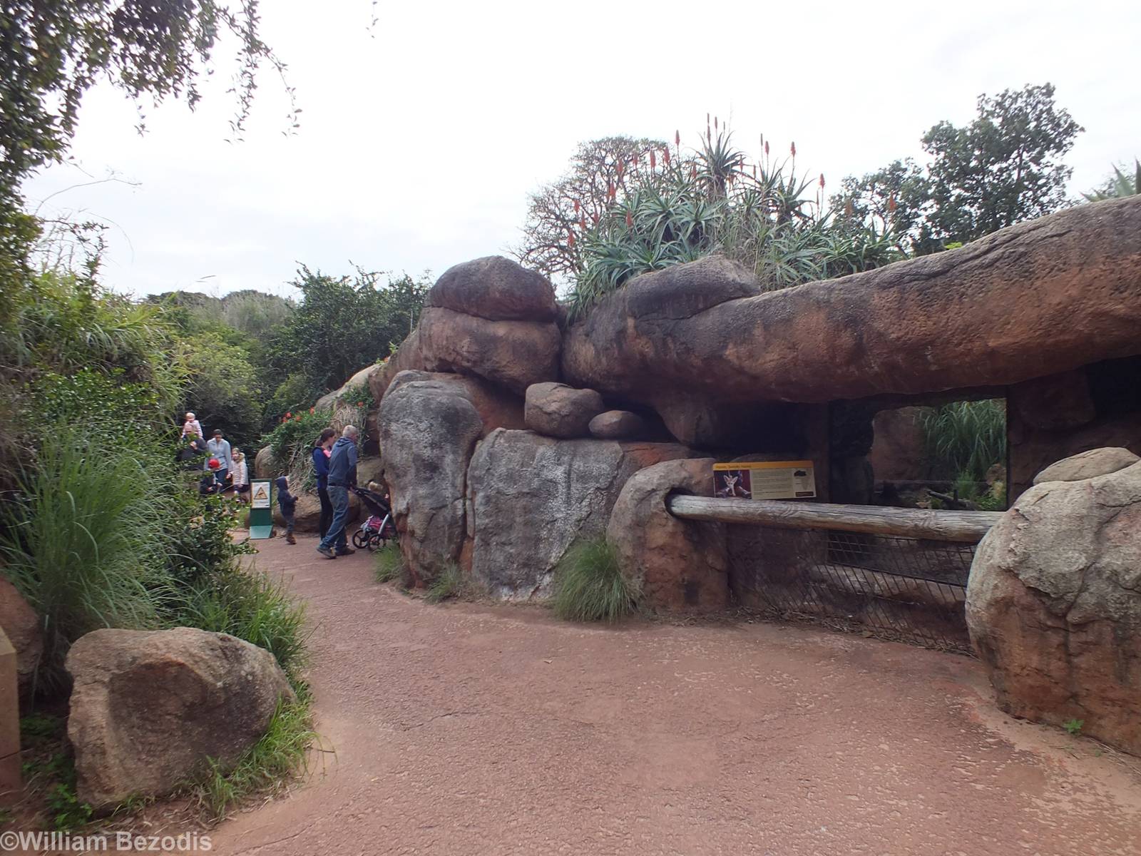 View in Africa Section