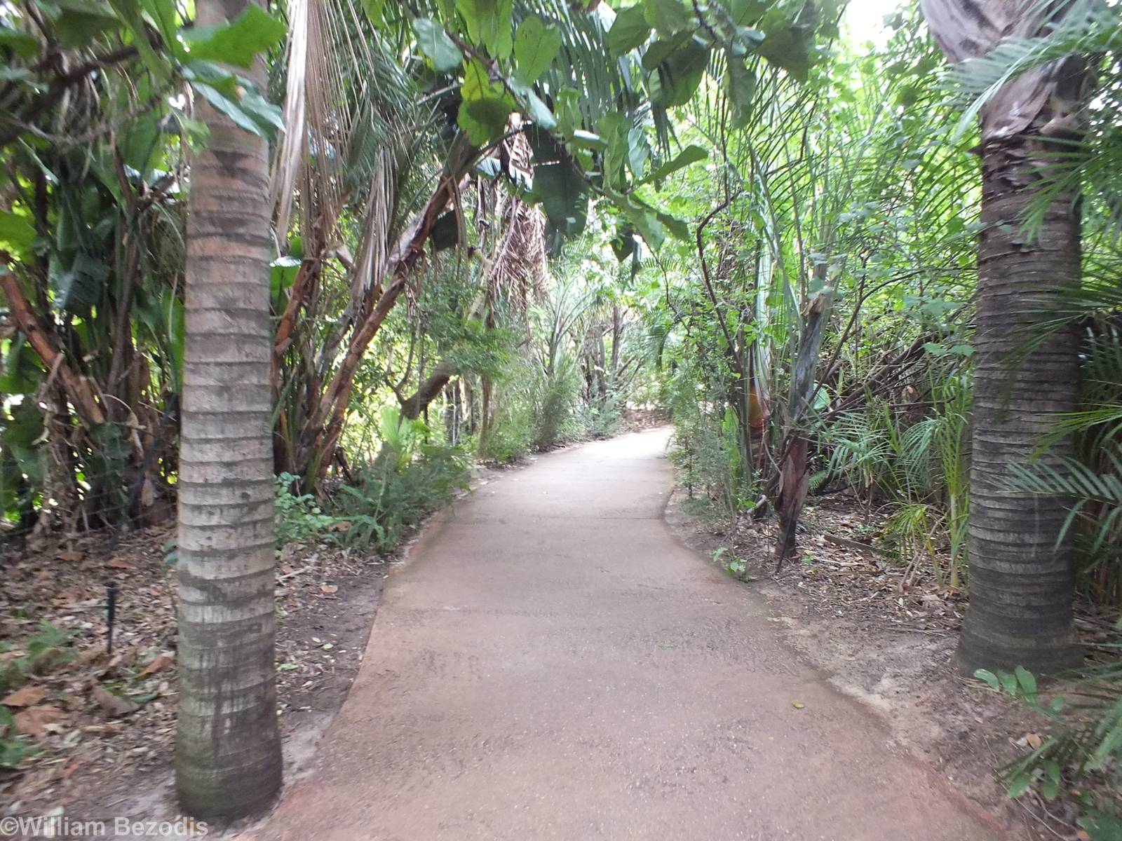 View in Africa Section