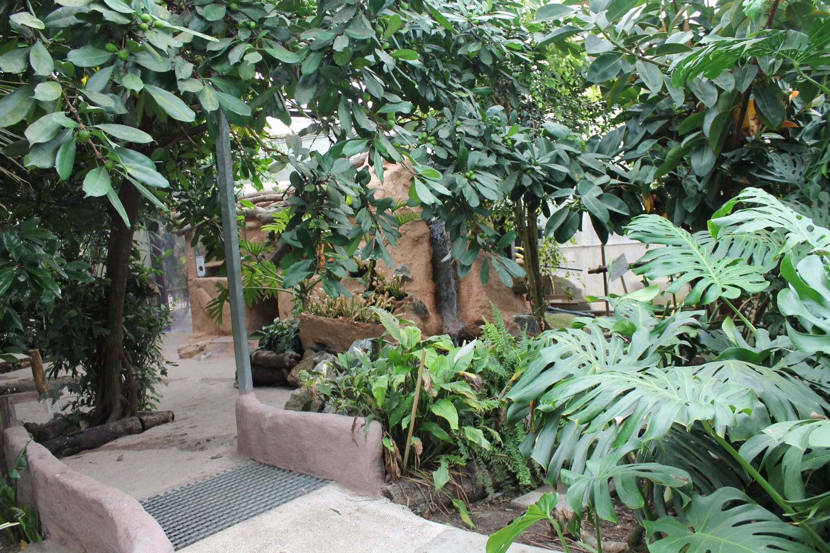 View in Almere Jungle