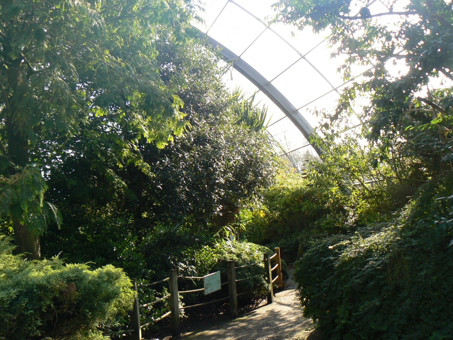 View in 'Amazonia' - 15 October 2017