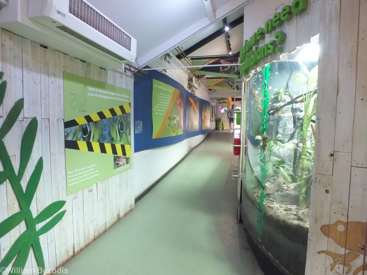 View in Amphibian House