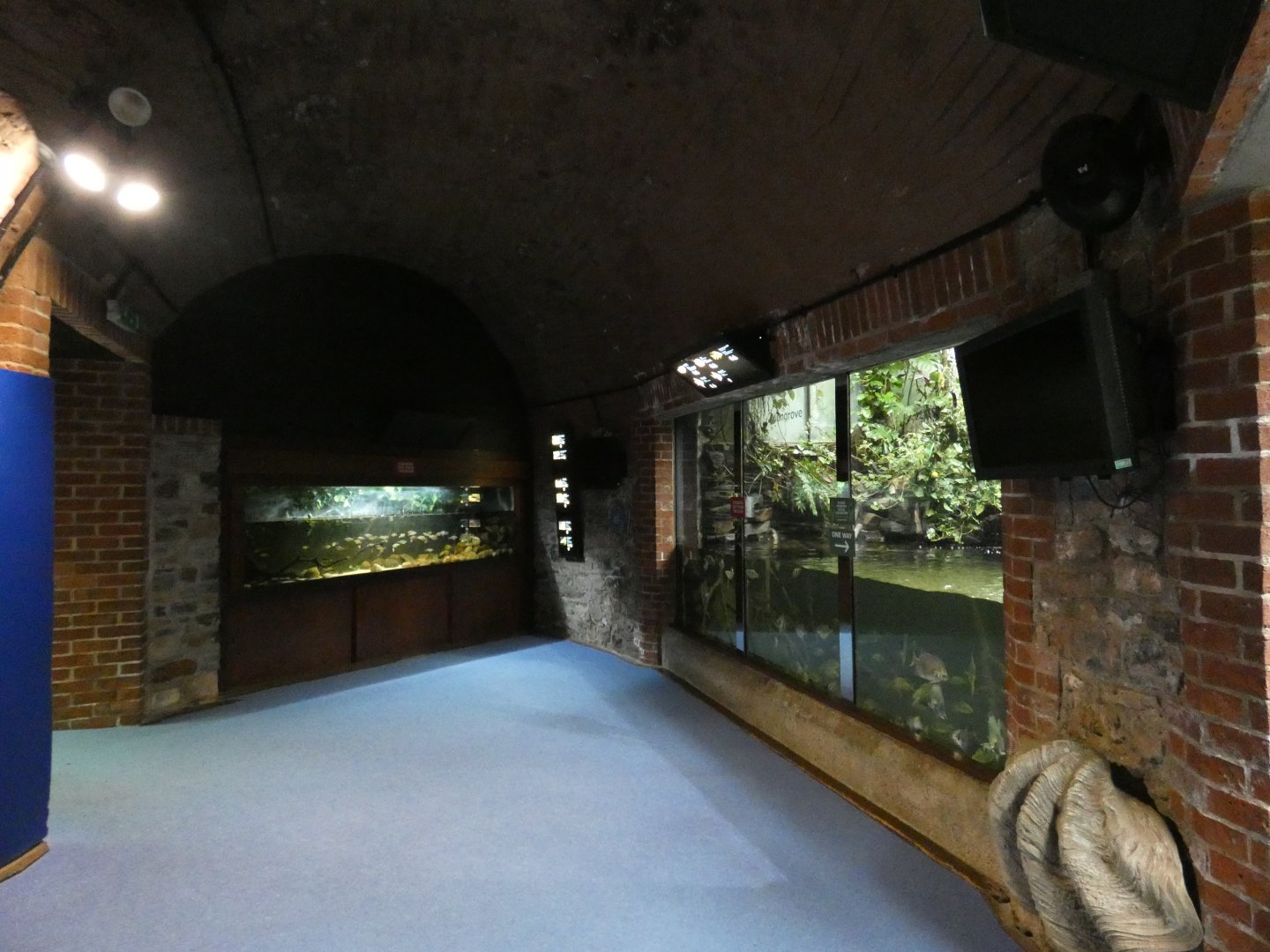 View in Aquarium (3)