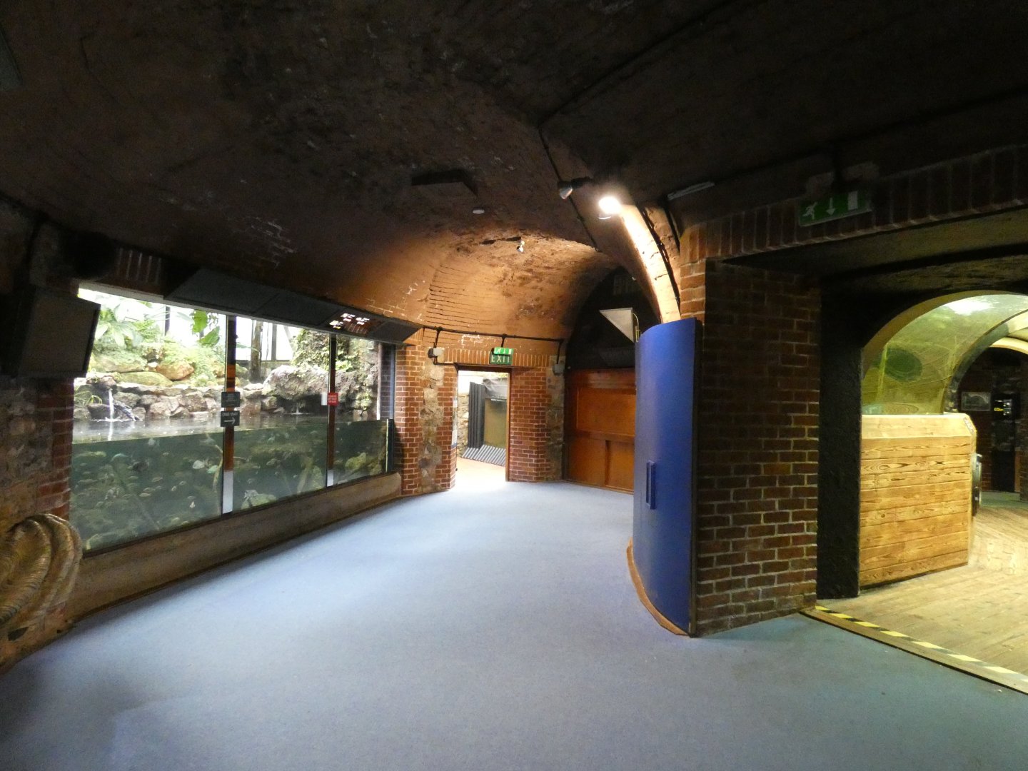 View in Aquarium (4)