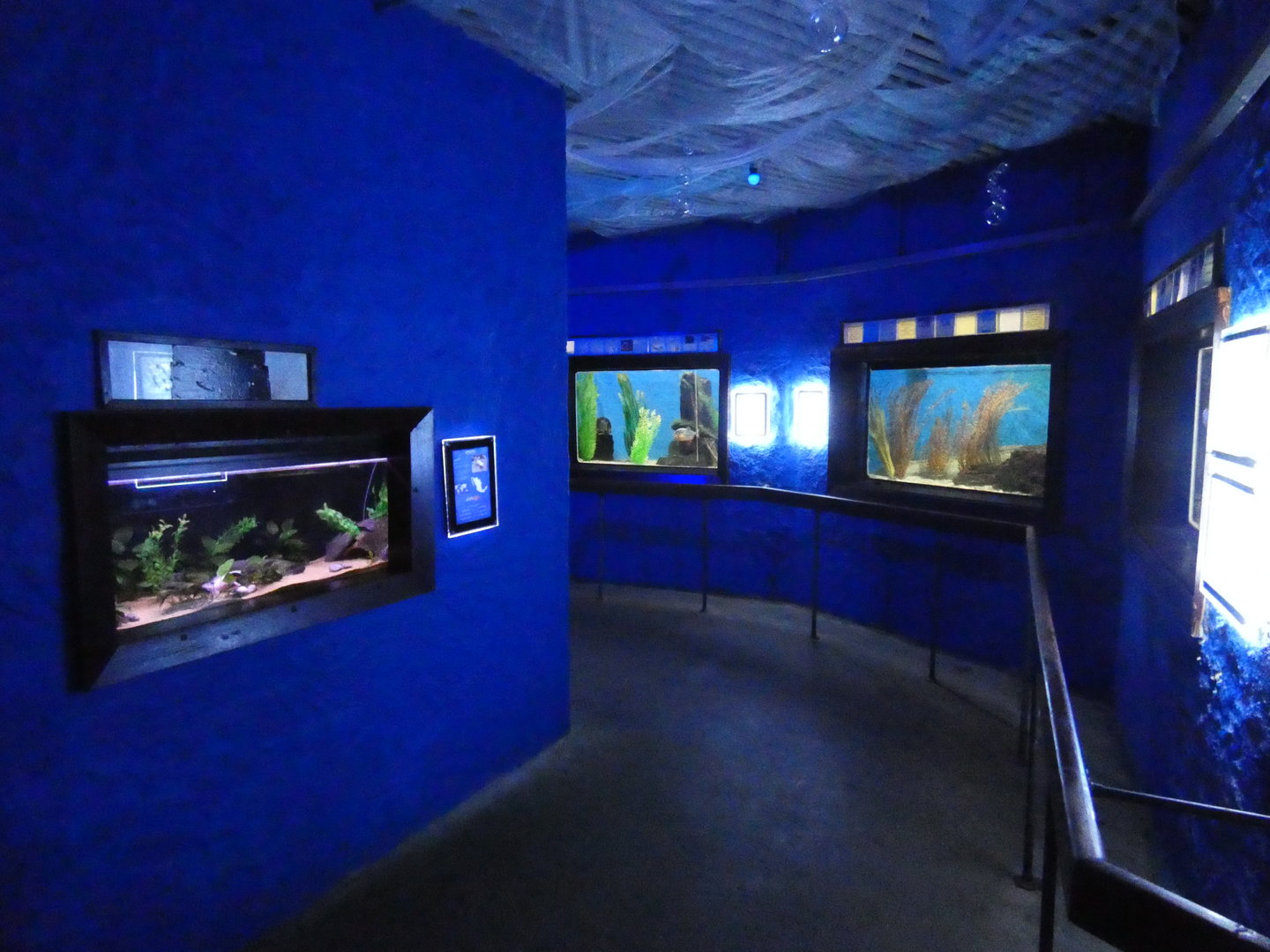 View in aquarium