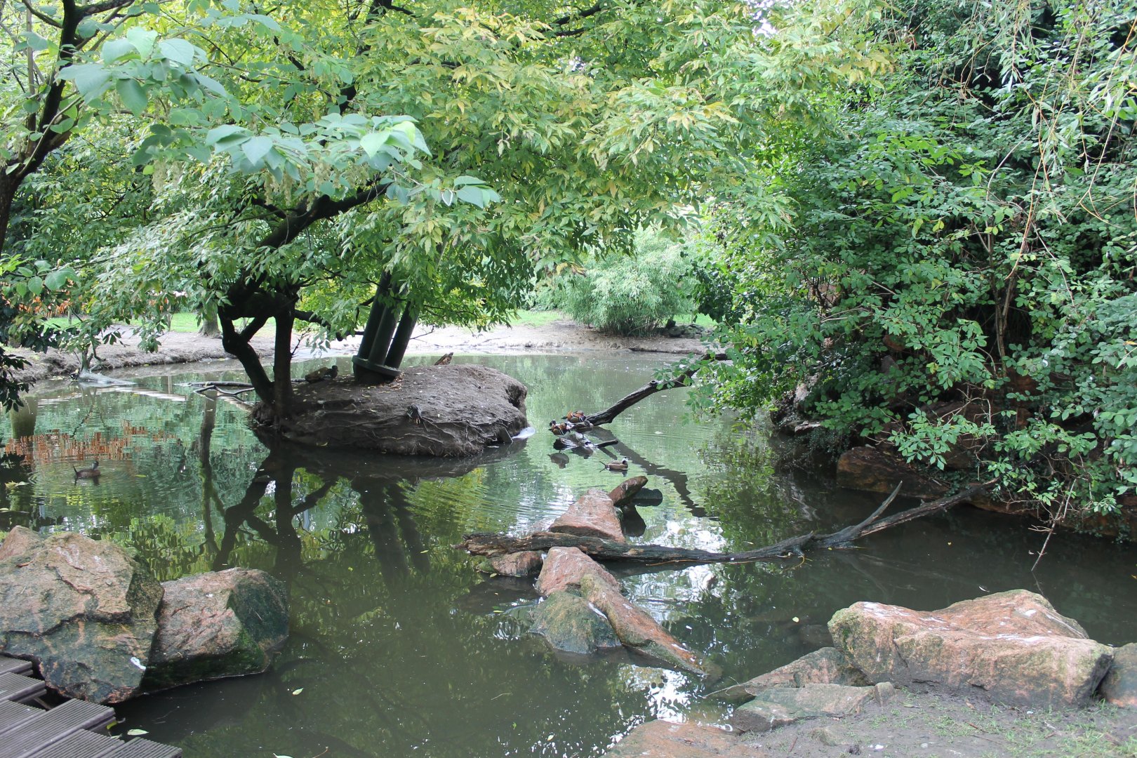 View in Asian walk-through-aviary