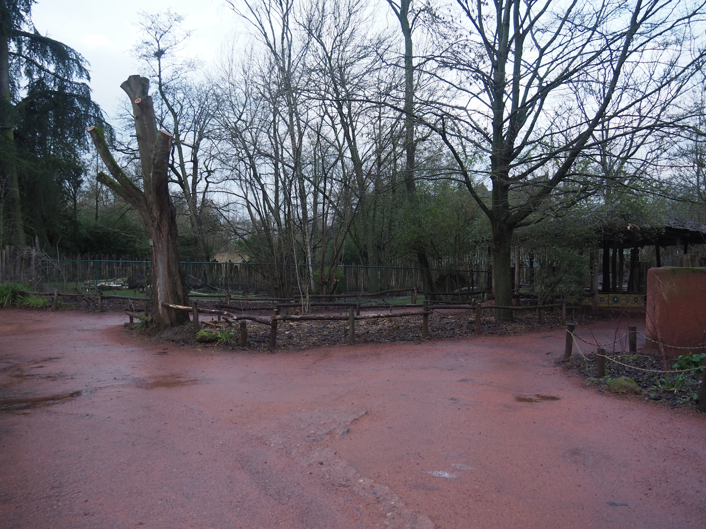 View in Australian area - Accesses to the Emu, Eastern grey kangaroo, Swamp wallaby and Tasmanian devil viewing area, 2024-01-01