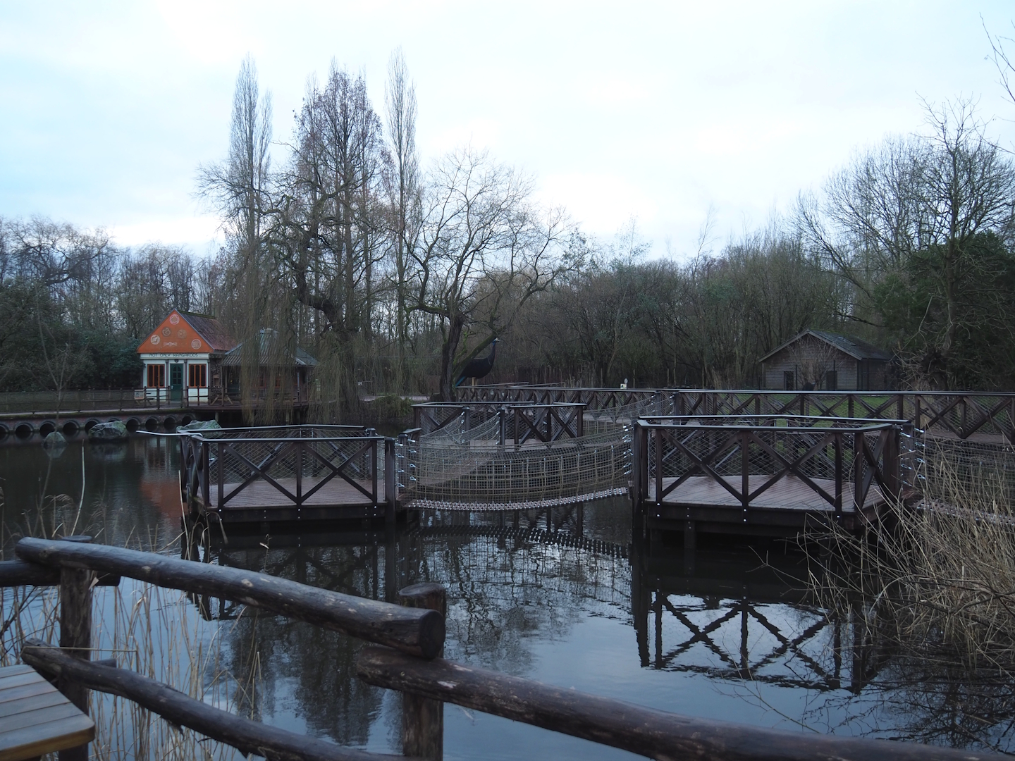 View in Australian area - Boardwalks next to the cassowary exhibits, 2024-01-01