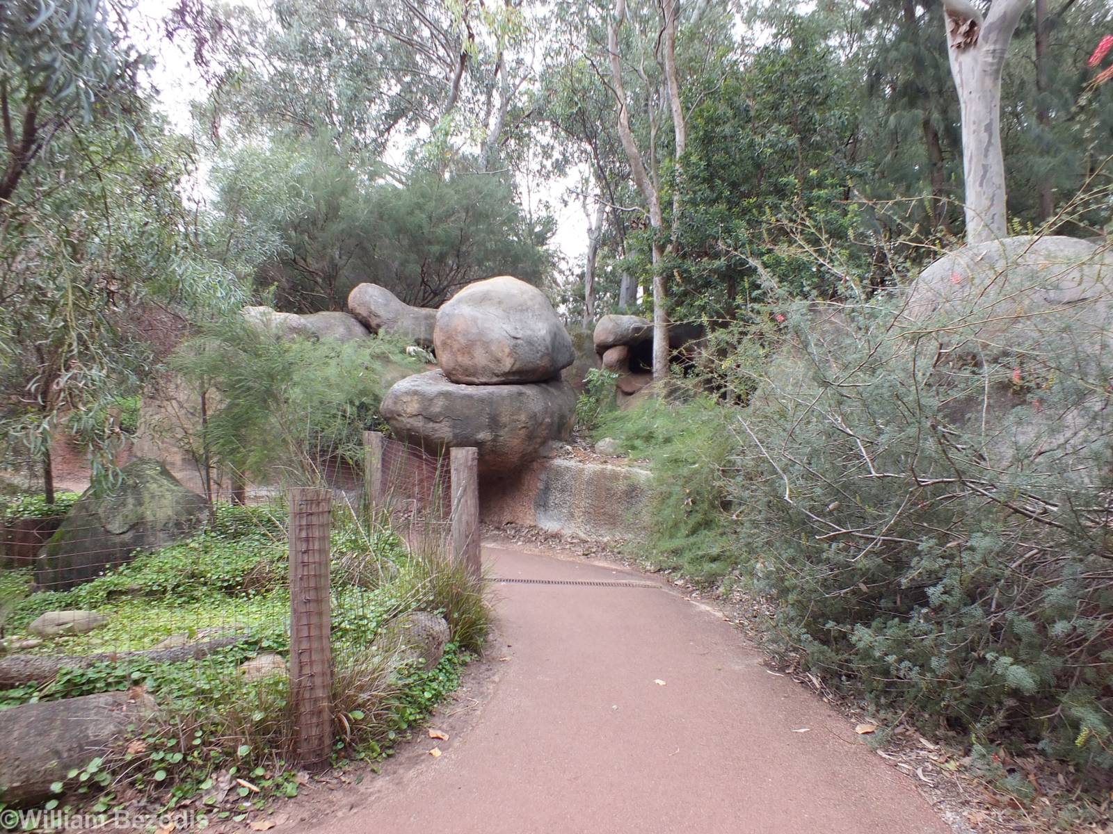 View in Australian Bushwalk