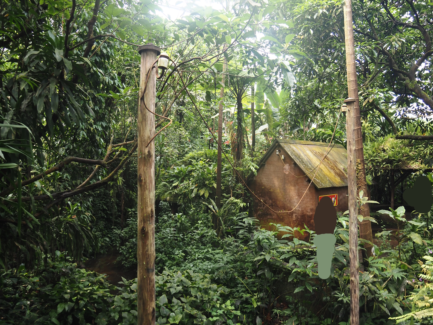 View in Burgers' Bush with vegetation around pond, cabin and leafcurrent ant poles and ropes, 2025-05-17
