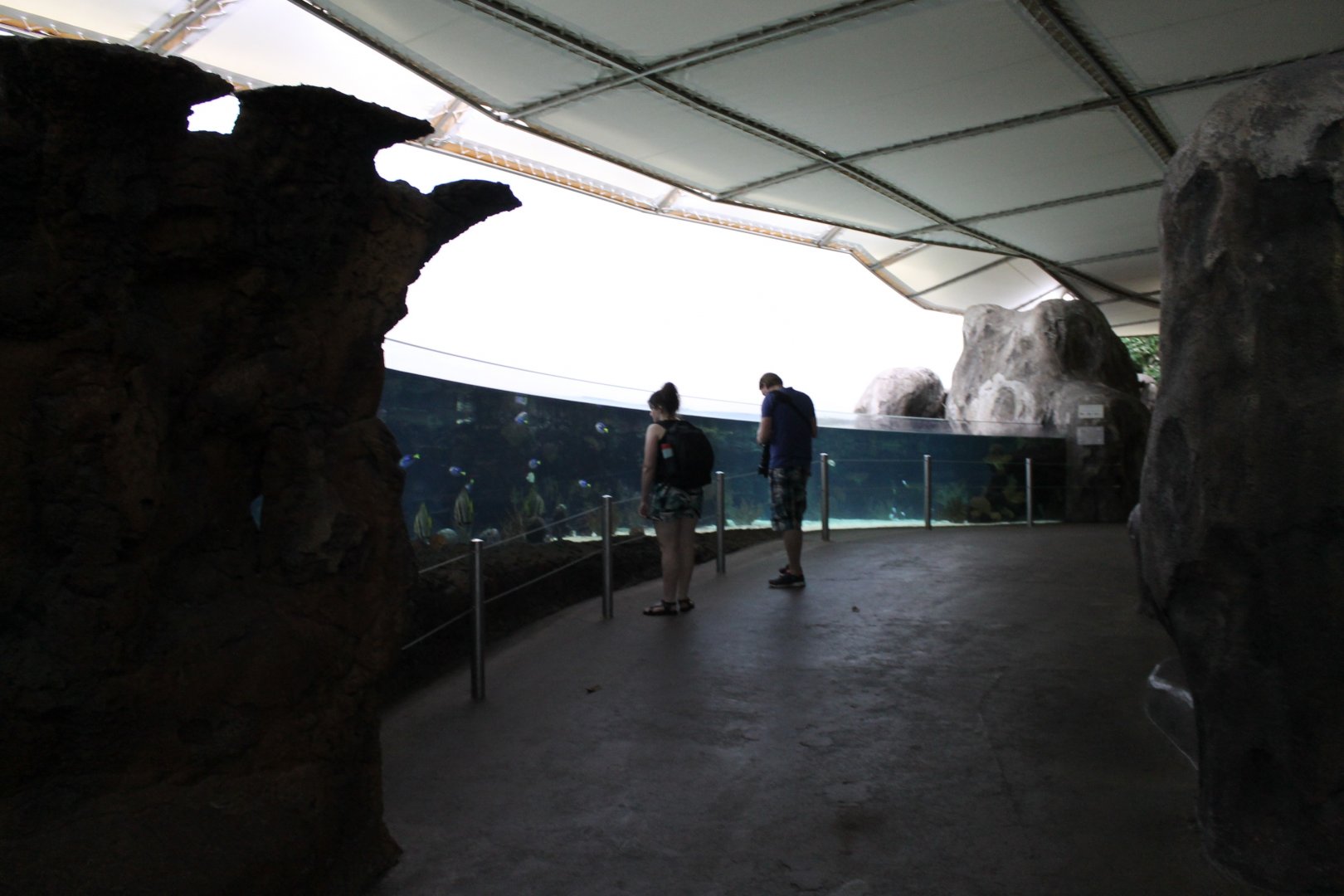 View in Burger's Ocean