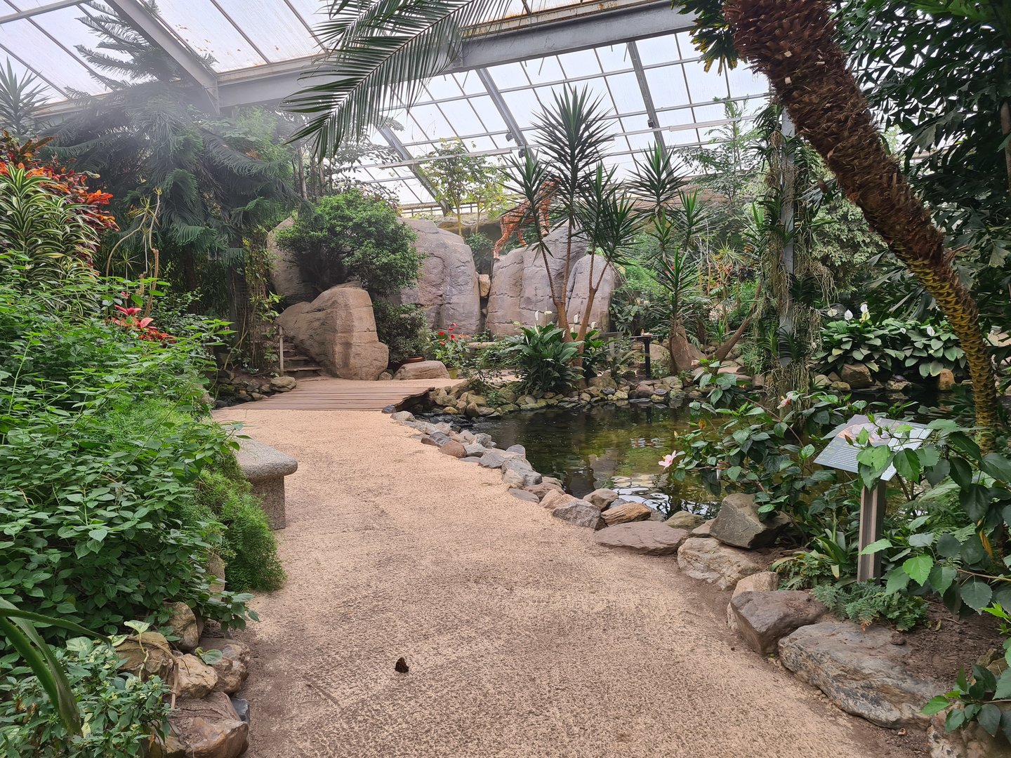 View in Butterfly valley