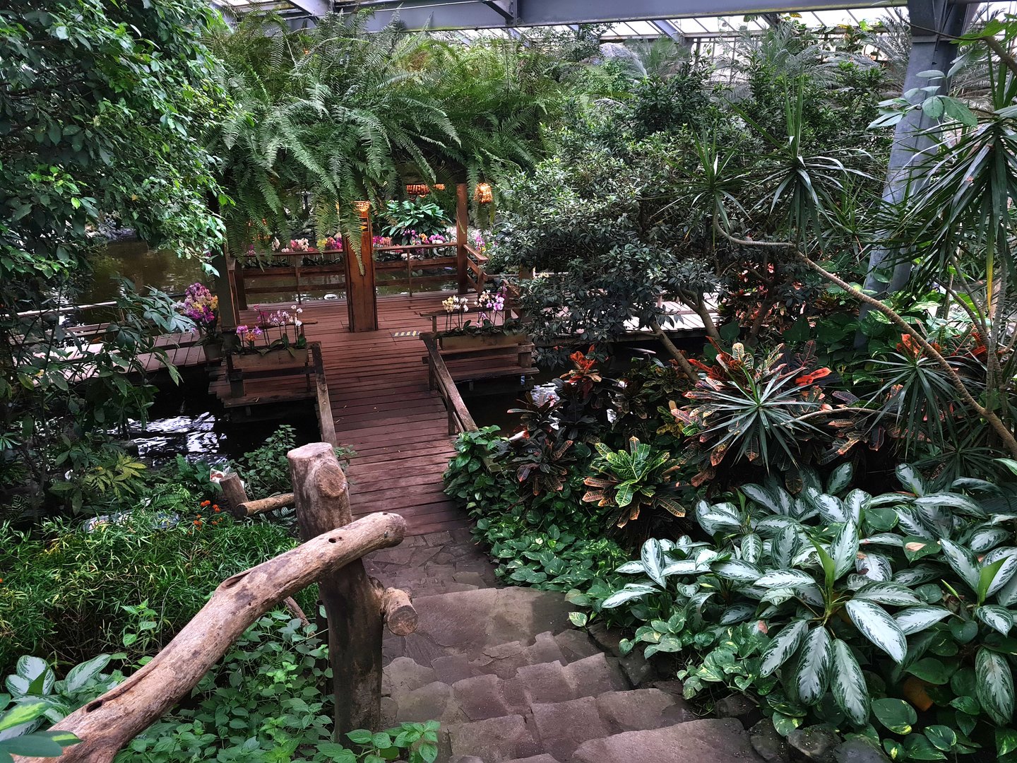 View in Butterfly valley