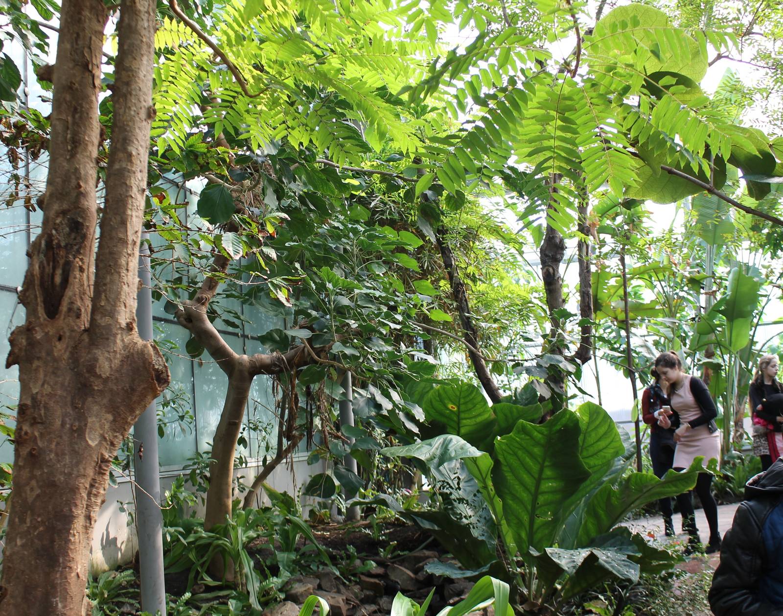 View in Butterfly-walk-through