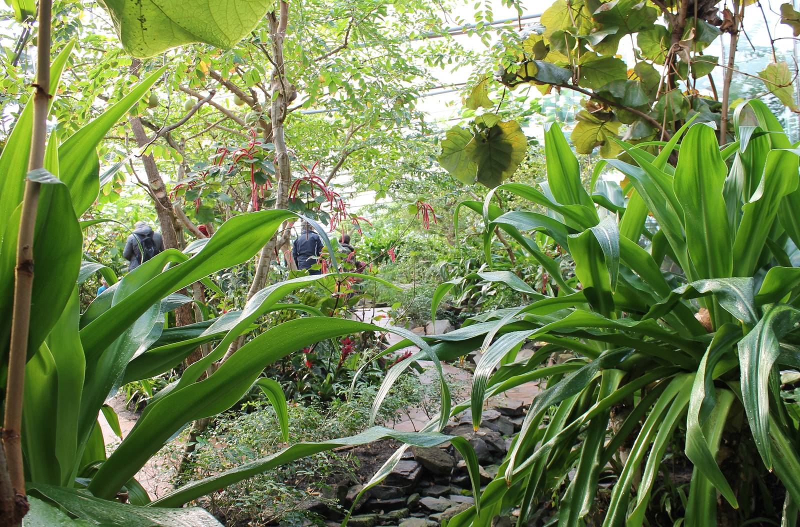 View in Butterfly-walk-through