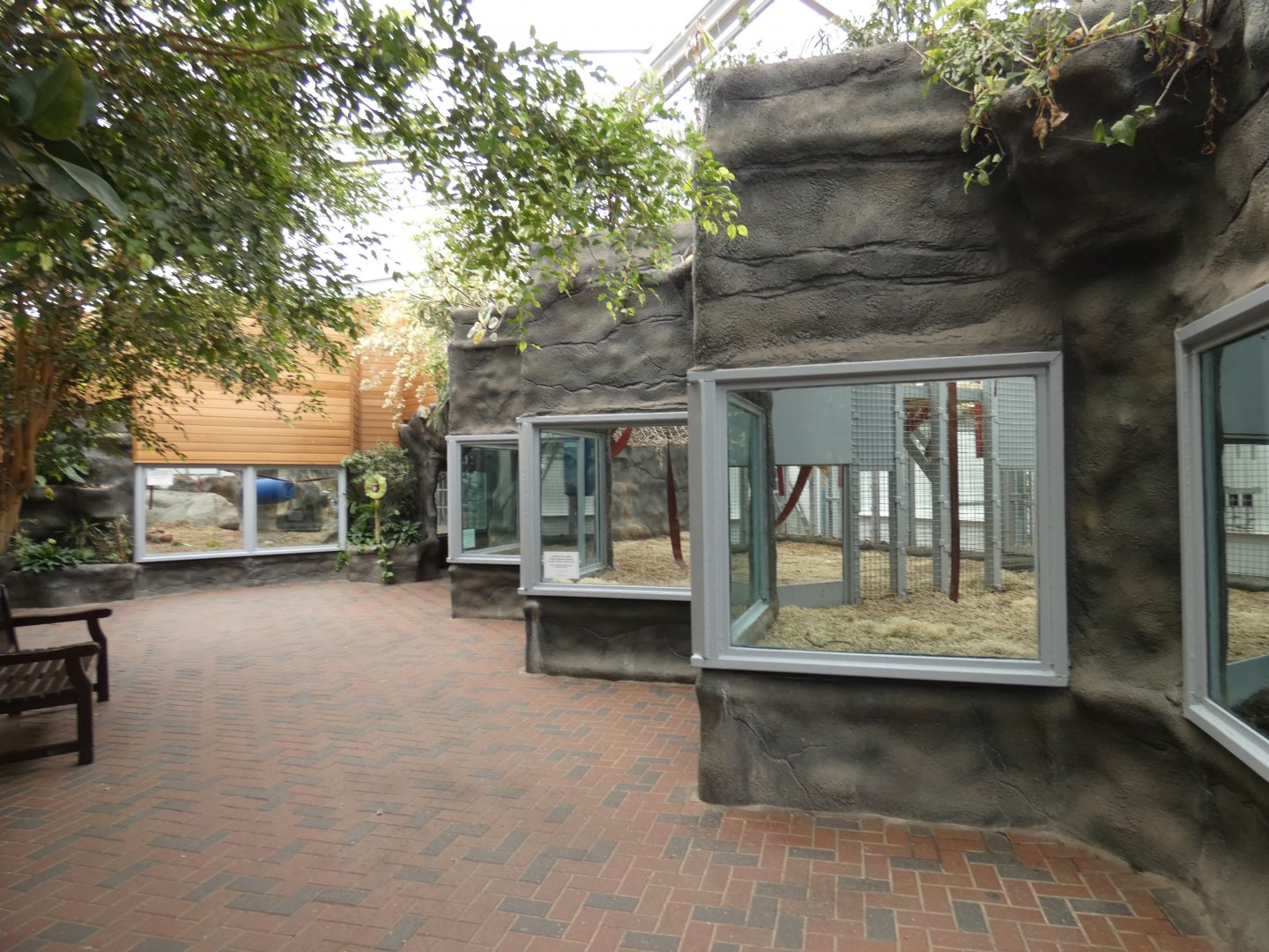 View in Chimpanzee Lookout