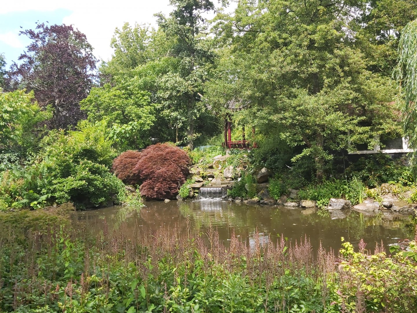 View in Chinese Garden